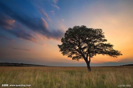 ÉúÒâʧ°Üծ̨¸ßÖþ£¬ÄÐ×Ó¾¹»¹´òÉÍÖ÷²¥50¶àÍòÔª