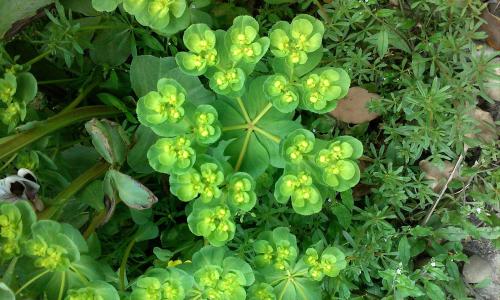 5Äêºó×Ô¶¯¼ÝÊ»ÓÐÍûÔÚÎÒ¹ú²¿·Ö³¡¾°ÊµÏÖ¹æÄ£»¯Ó¦ÓÃ