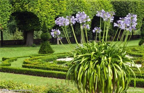 4ÄêÖ§³ö³¬6ÍòÒÚÔª£¡²ÆÕþÖ§Å©×ʽðÈçºÎ·ÖÅäºÍʹÓÃ