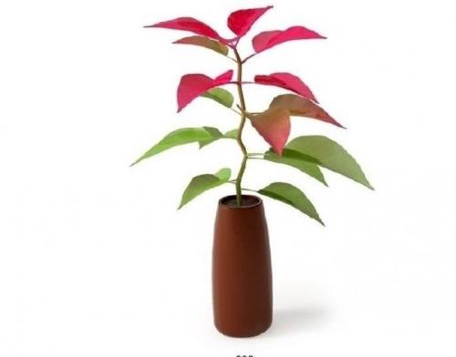 ÐÅÓÃծͳһÐÅÏ¢Åû¶¹æÔò£¬ÂòÕ®Òª¿´¡°ËµÃ÷Ê顱