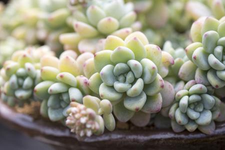 ¹ØÓÚʵʩ¶¯²úºÍȨÀûµ£±£Í³Ò»µÇ¼ÇµÄ¾ö¶¨Ó¡·¢