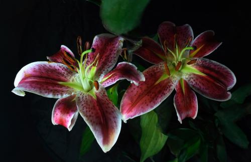 ÖÐÁªÖØ¿ÆÄâ116ÒÚÔª³öÊÛ»·¾³²úÒµ¹«Ë¾80%¹ÉȨ