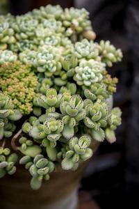 È«¹ú¸¾Áª±íÕÃÈ«¹úÎåºÃ¼ÒÍ¥ ½ÒÏþ2020Äê×îÃÀ¼ÒÍ¥