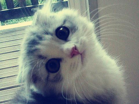 2021Ä긣½¨Ð¸߿¼·½°¸³ö¯£º