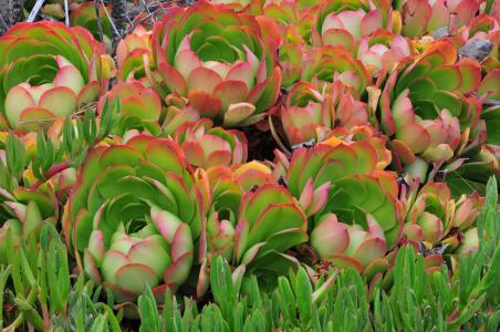 APPѹرգҪûһ˵Ļᡱ