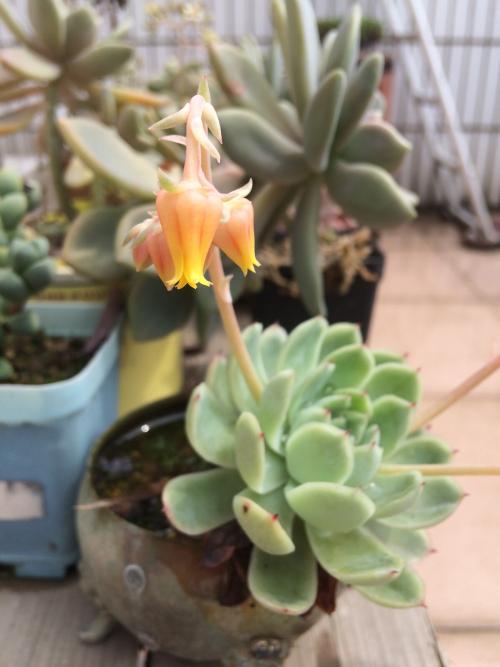 ¬ٰʾƷгģ48Ԫҵ͸ʽԼ5%