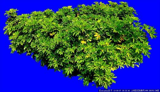 ¬ٰʾƷгģ48Ԫҵ͸ʽԼ5%