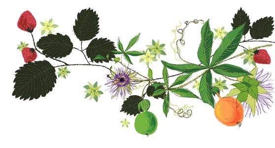 联合国秘书长希望2021年成为治愈创伤的一年