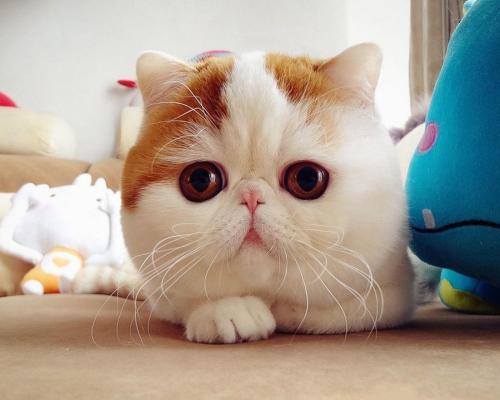 ȫ˻حƼڻʮɸǻ