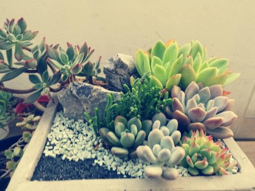 ¶í×ÜͳǩÊð·¨Áî·ÏÖ¹¡¶Å·ÖÞ³£¹æÎä×°Á¦Á¿ÌõÔ¼¡·